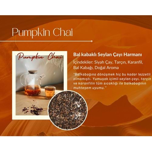 250 GR. Pumpkin Chai Doypack - Corvus Kahve
